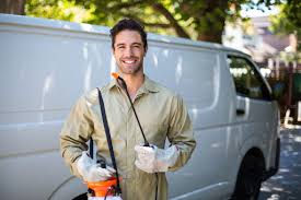 Best Fumigation Services  in Sanger, TX